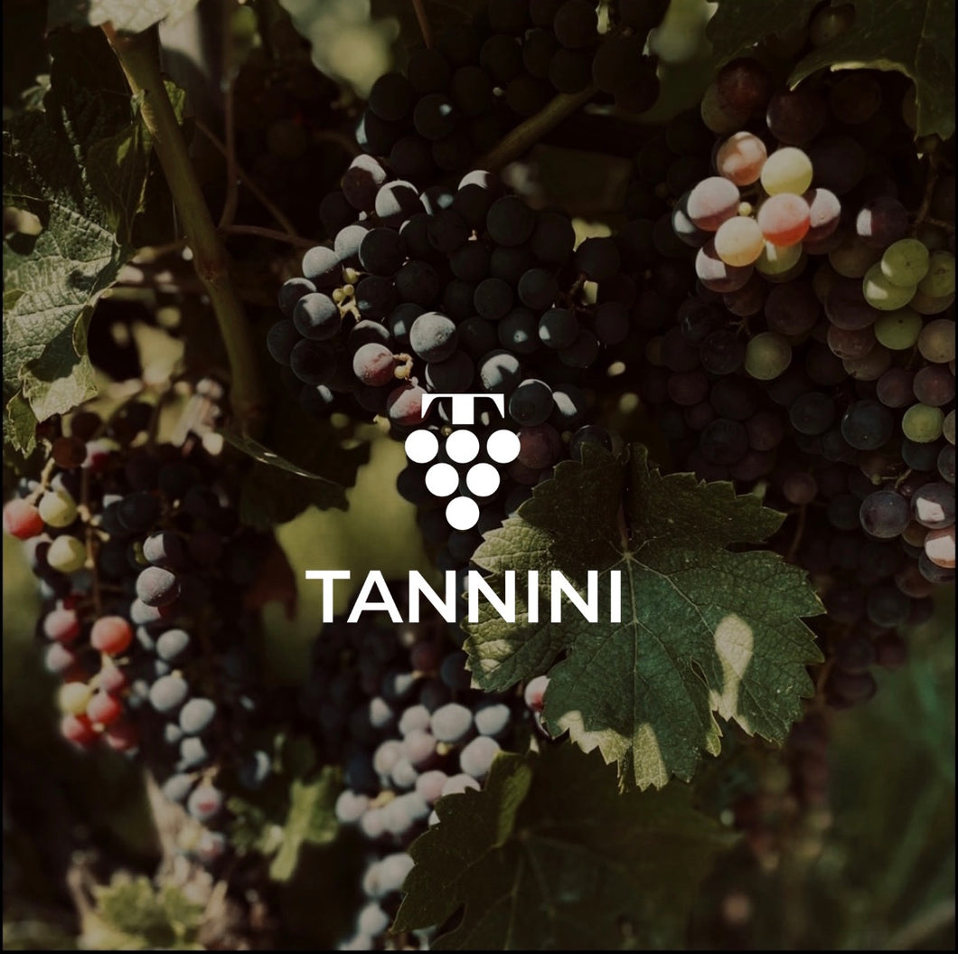 TANNINI-LID